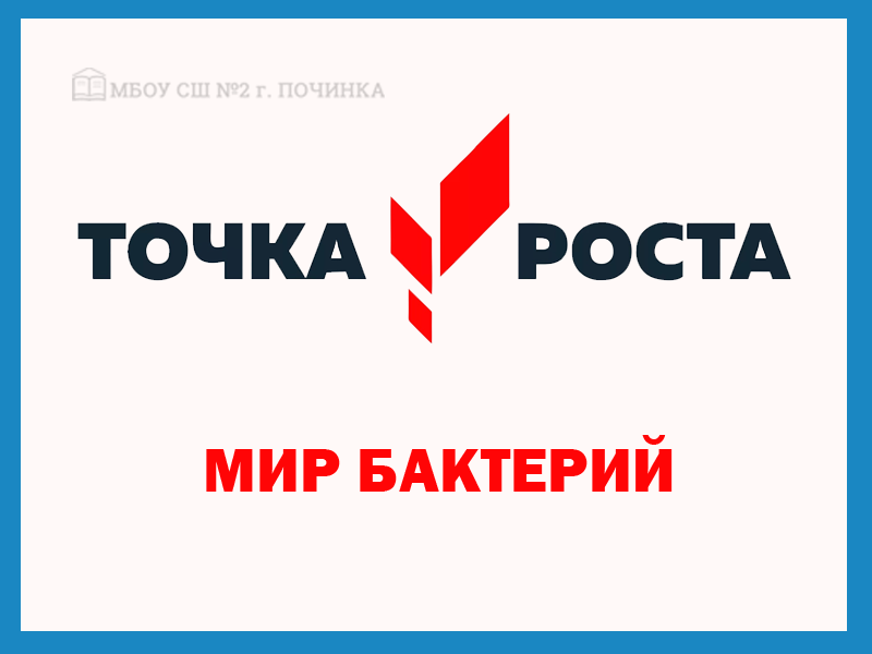 Мир бактерий.